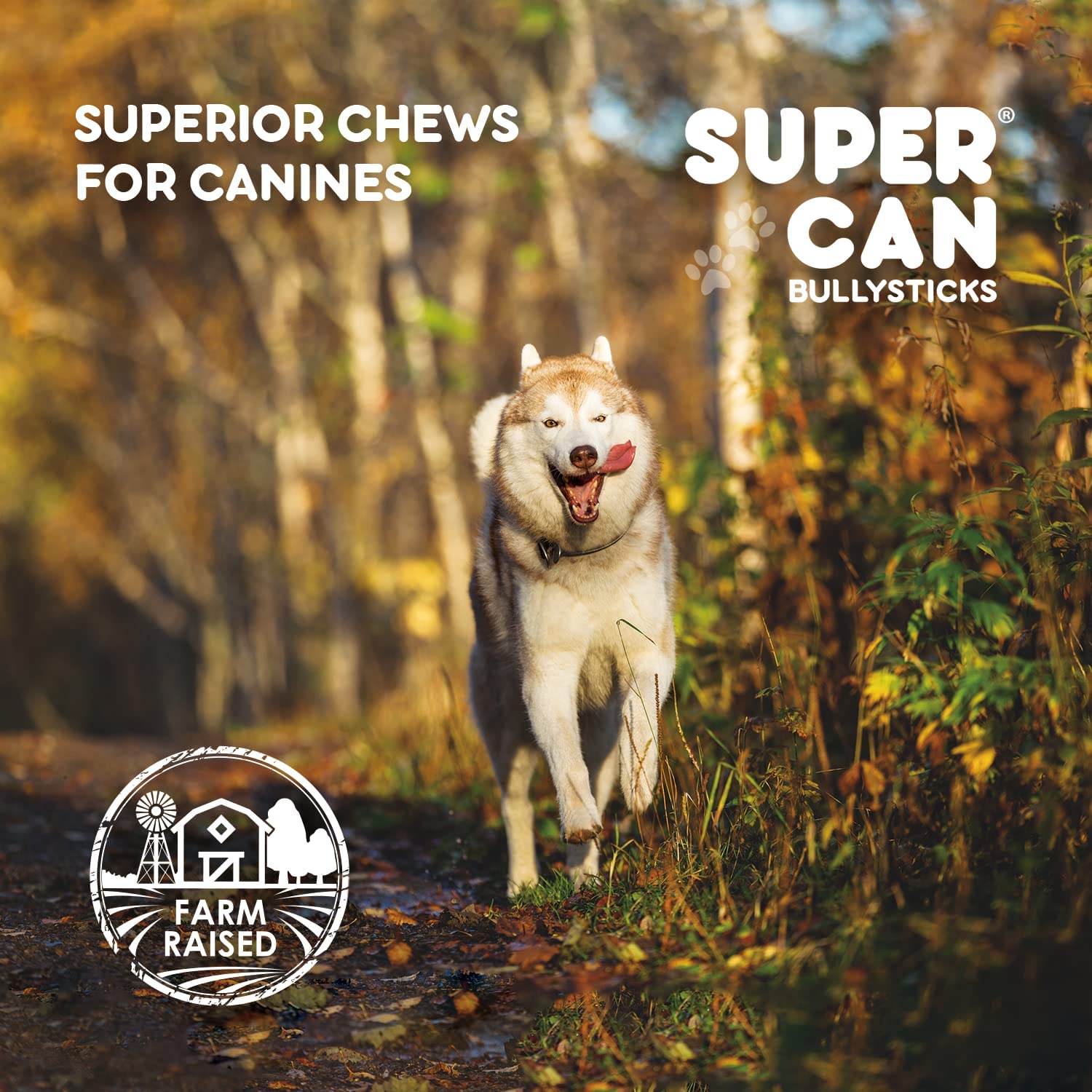 Dog running through a forest with 'Super Can Bullysticks' branding and 'Farm Raised' label.