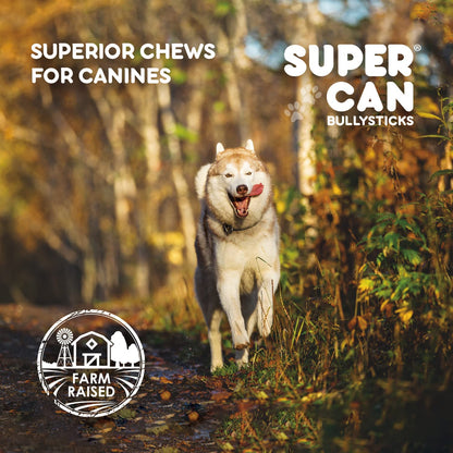 Dog running through a forest with 'Super Can Bullysticks' branding and 'Farm Raised' label.