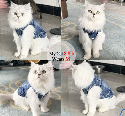 White cat wearing a denim outfit on a patterned rug.