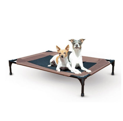 Two dogs on a brown pet cot with a white background