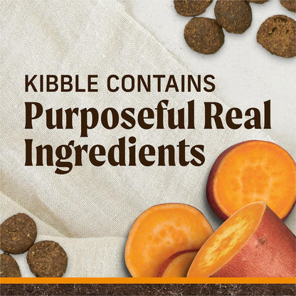 Dog kibble with sweet potatoes on a textured surface, emphasizing real ingredients.