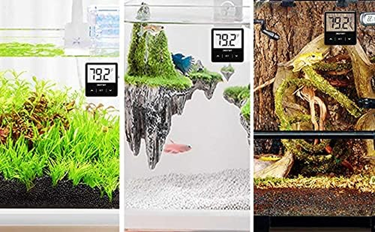 Three aquariums with digital temperature displays showing 79.2 degrees Fahrenheit.