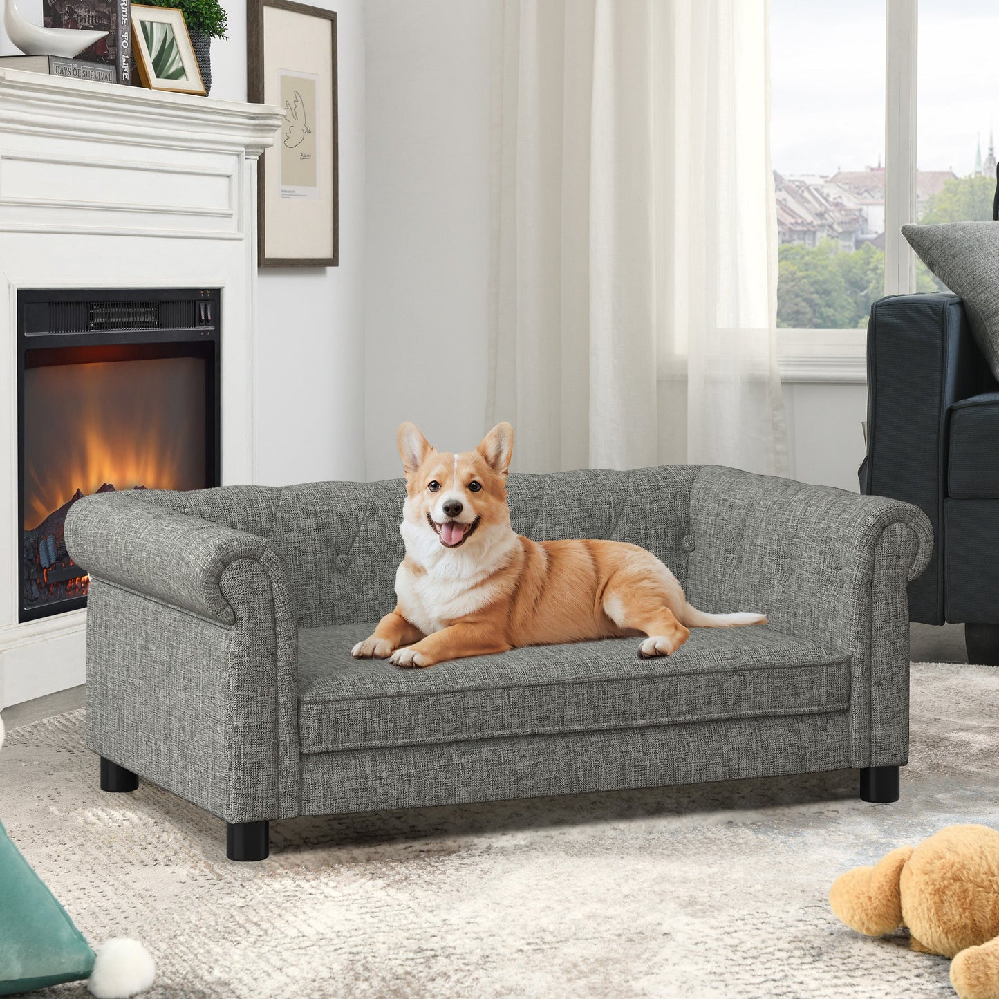 Dog sitting on a small gray sofa in a living room with a fireplace and window in the background.