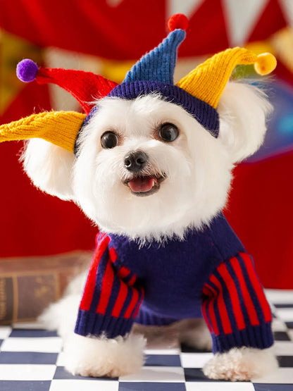 Small white dog wearing a colorful jester hat and outfit on a checkered floor with balloons in the background.