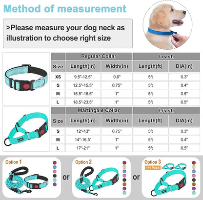 Dog collar and leash measurement chart with size guide and illustrations