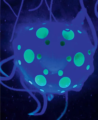 Glowing jellyfish with green spots on a dark background