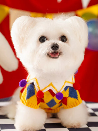 Small white dog wearing a colorful sweater on a checkered floor with a red background