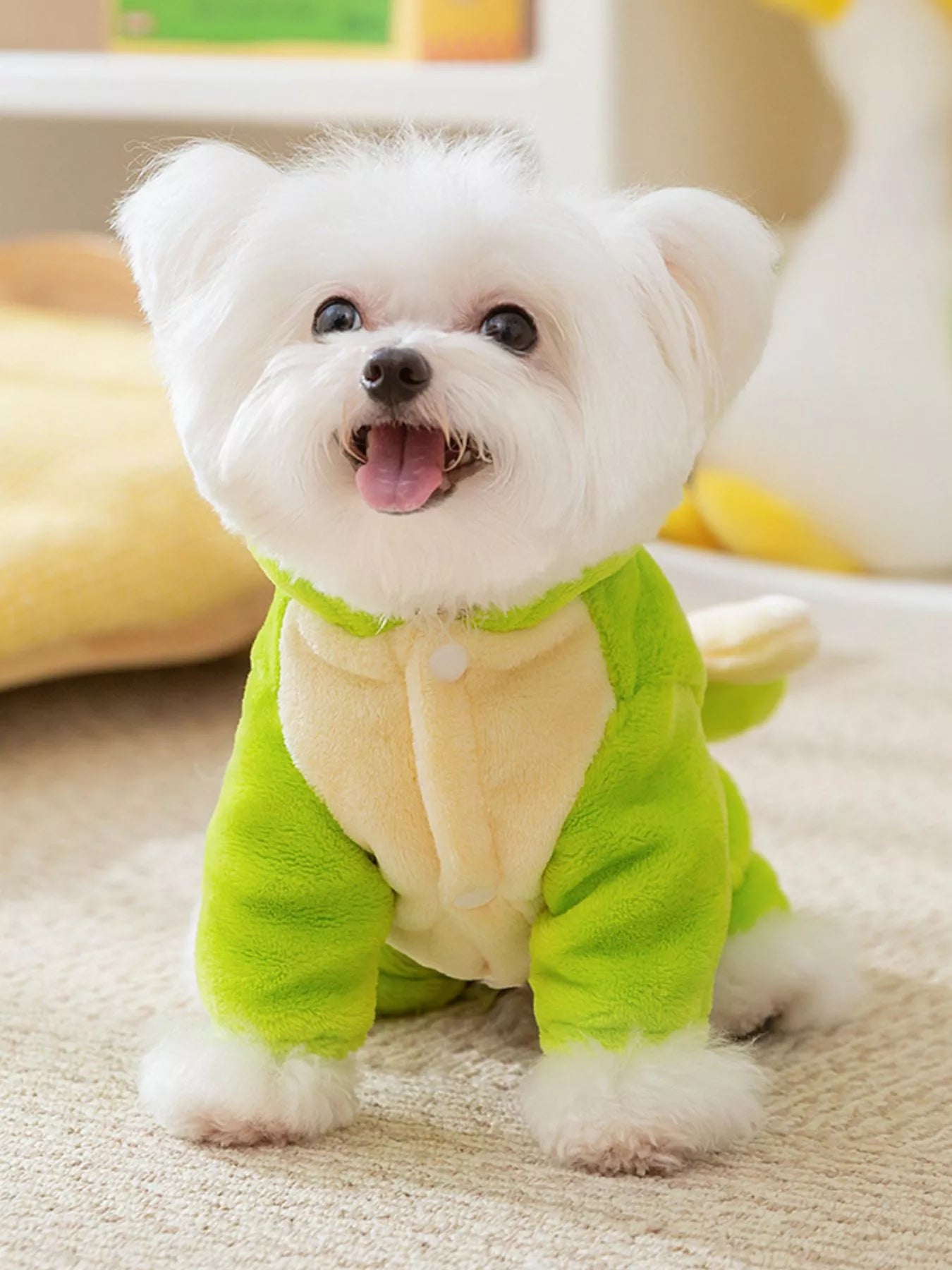 Small white dog wearing a green outfit on a carpeted floor.