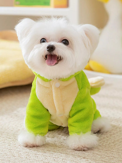 Small white dog wearing a green outfit on a carpeted floor.