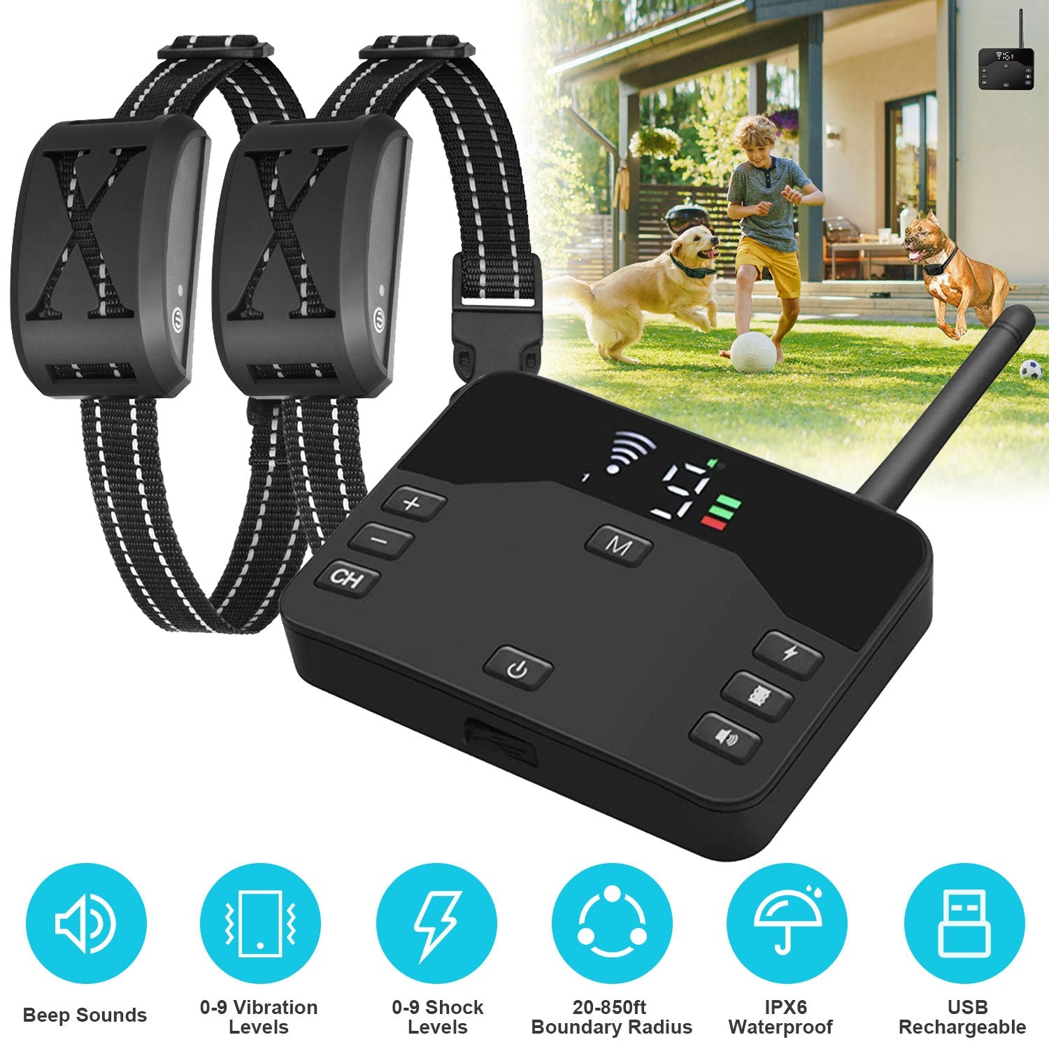 Dog training collar system with control device and two collars on a grassy background.