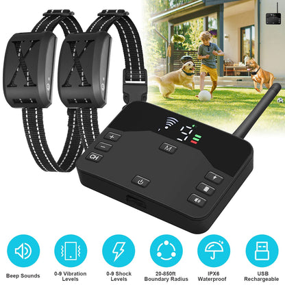 Dog training collar system with control device and two collars on a grassy background.