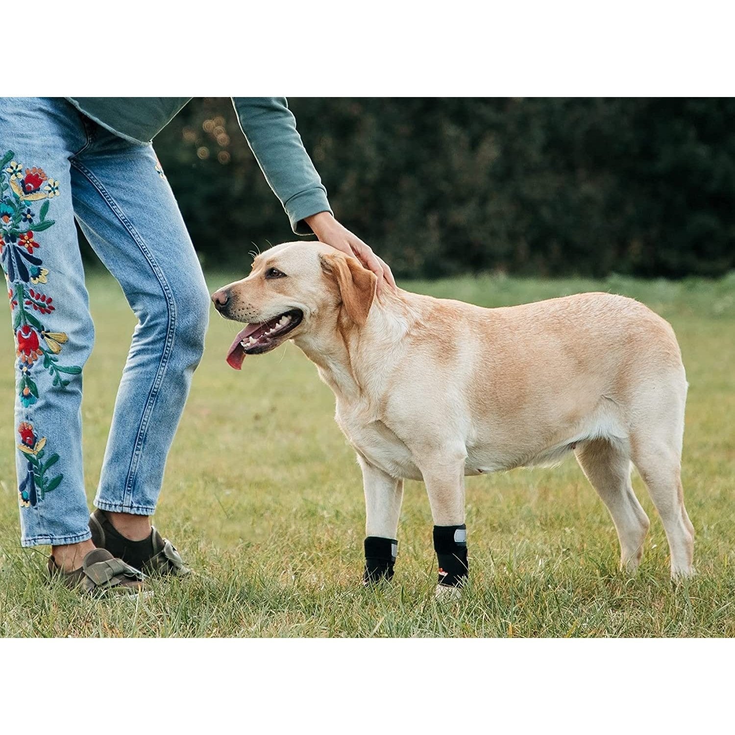 Dog wearing black booties standing on grass with a person petting it