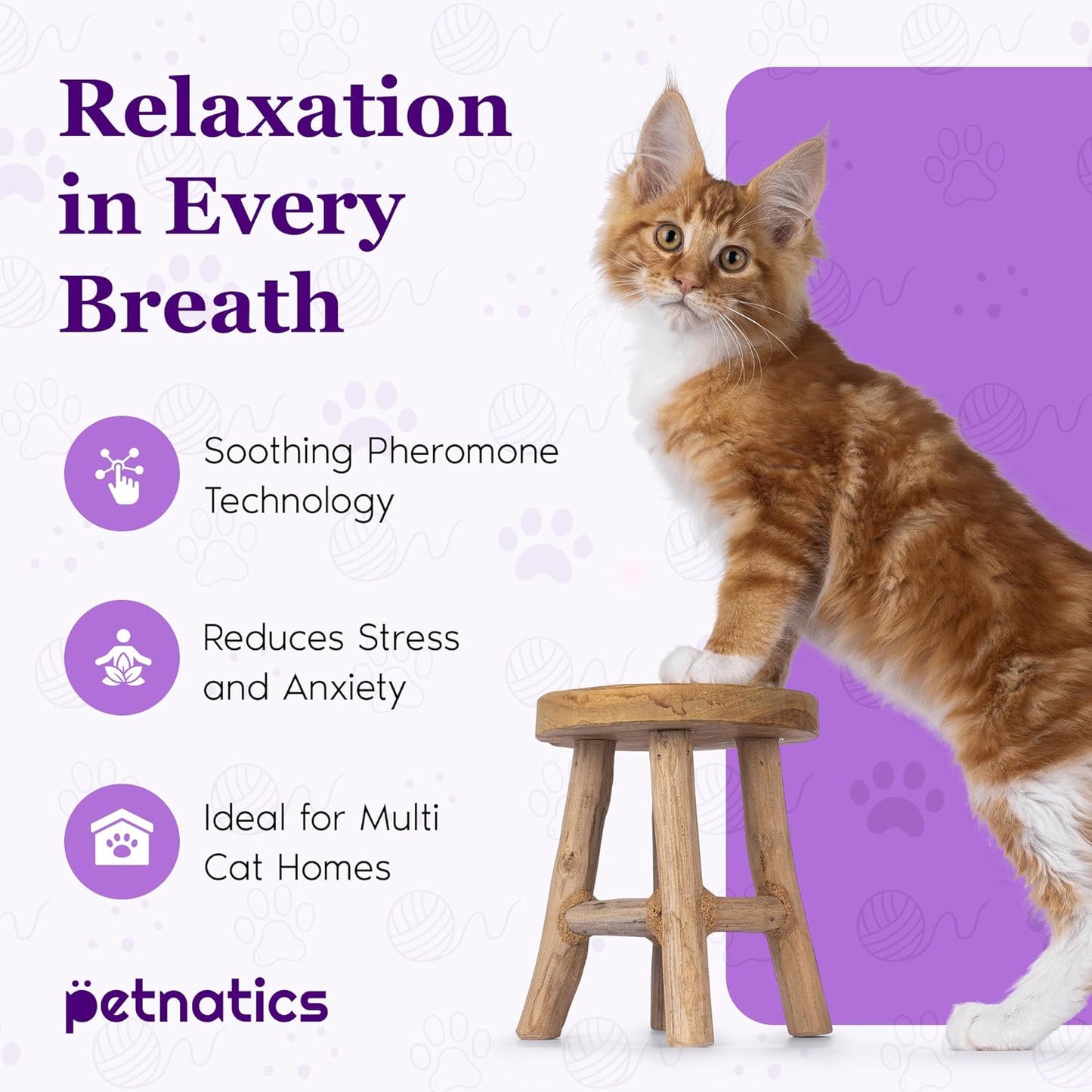 Purrfect Calming Diffuser Kit with 2 Refills