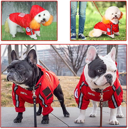 Collage of dogs wearing red raincoats in various settings.