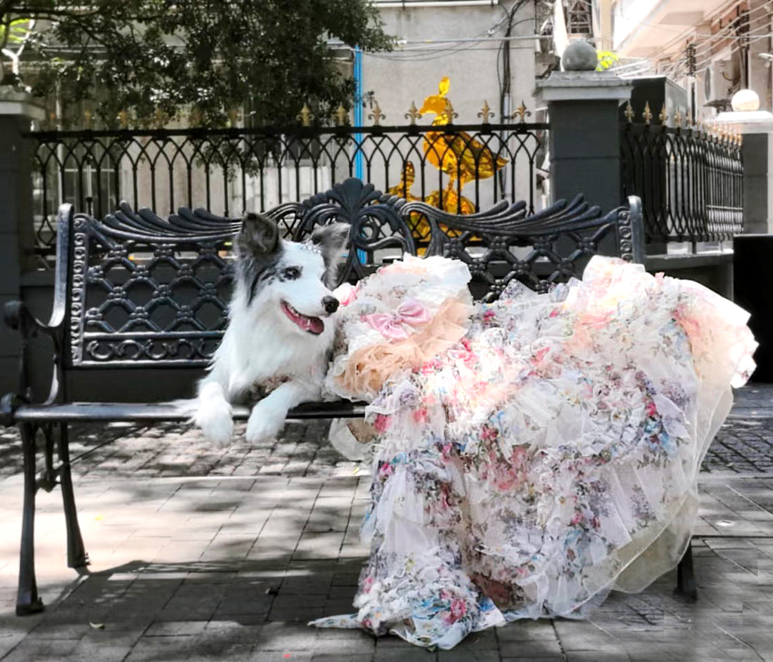 Dog sitting on a bench with a person in a floral dress in an outdoor setting