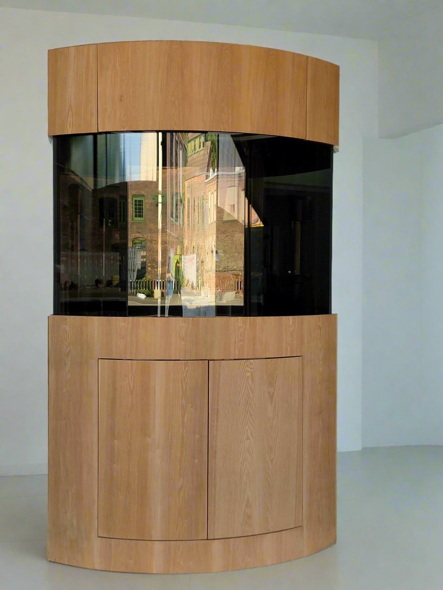 Wooden aquarium with curved front panel in a room setting