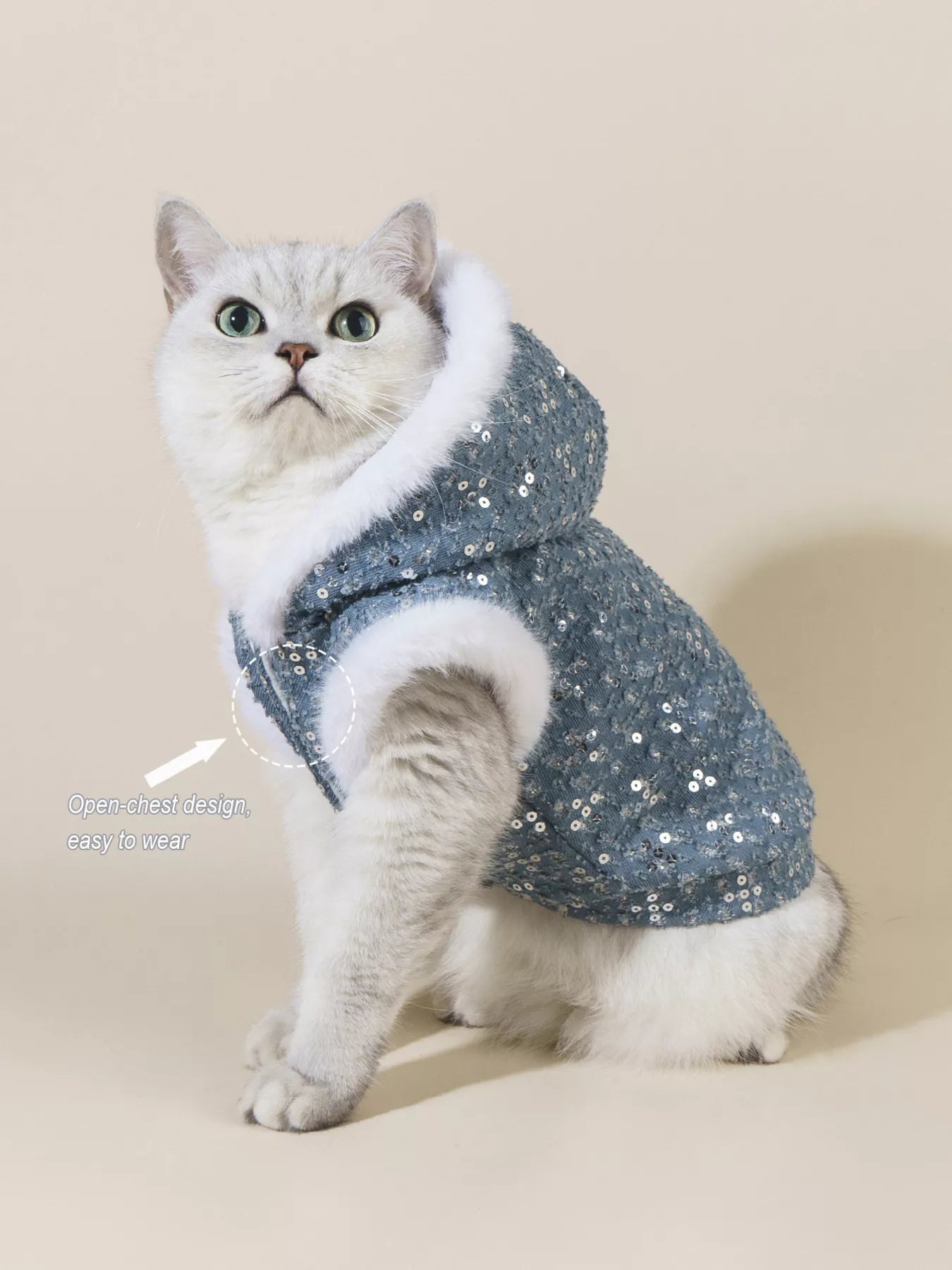 Cat wearing a sparkly blue hoodie with white fur on a beige background