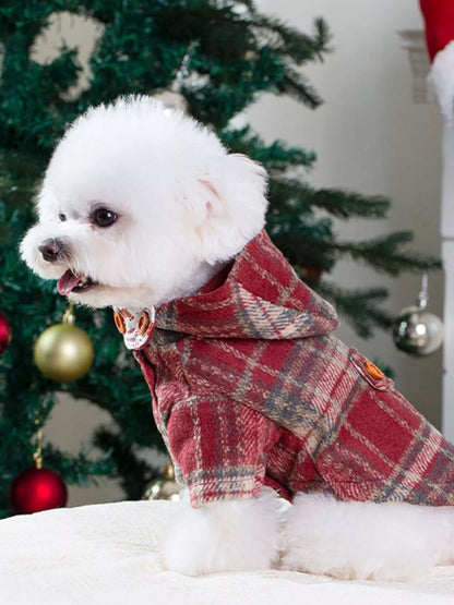 Small white dog wearing a red plaid coat in front of a decorated Christmas tree.