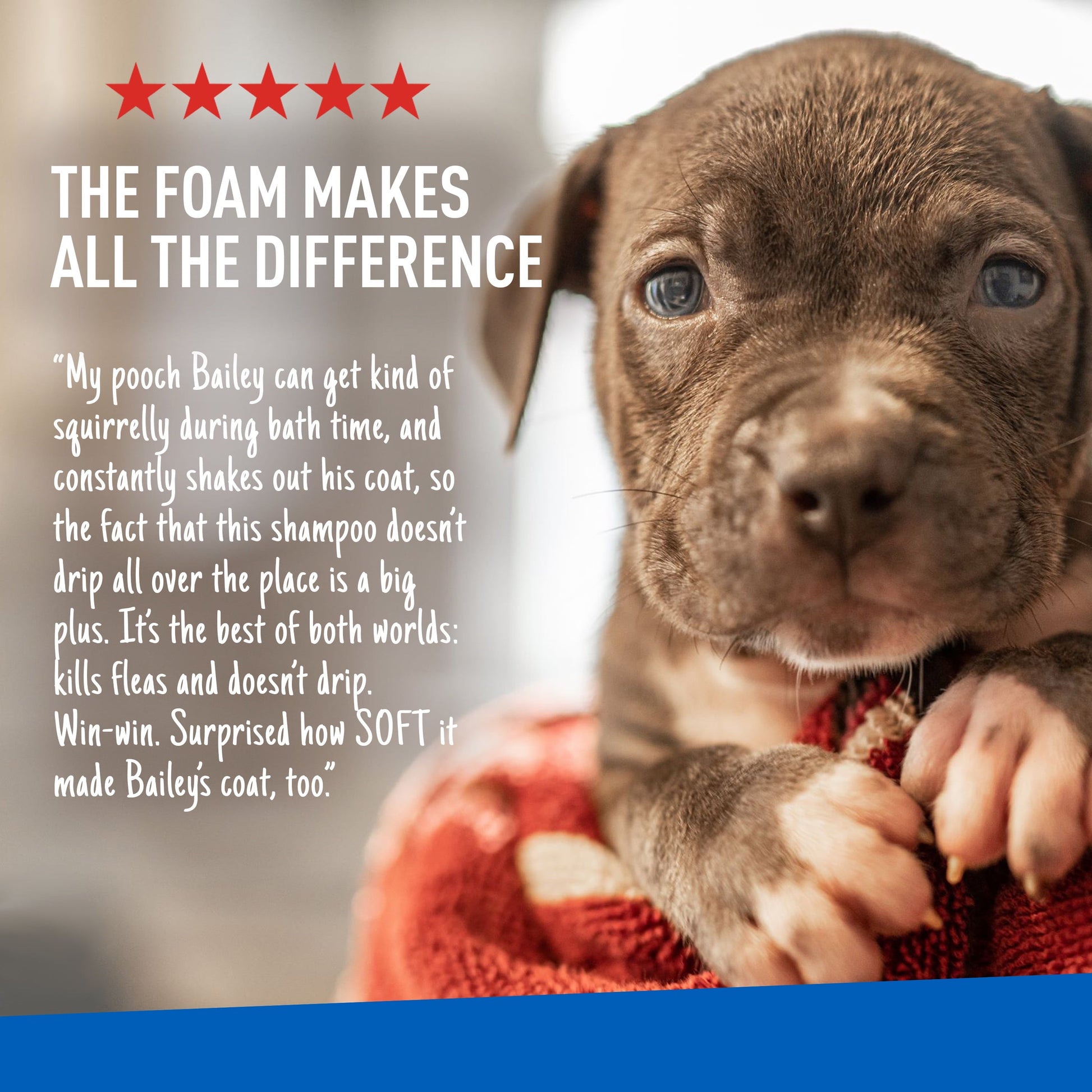 Puppy wrapped in a red towel with text about shampoo's effectiveness