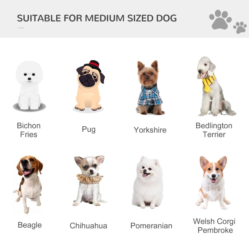 Illustrations of various dog breeds suitable for medium-sized dogs on a white background.