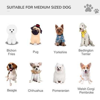 Illustrations of various dog breeds suitable for medium-sized dogs on a white background.