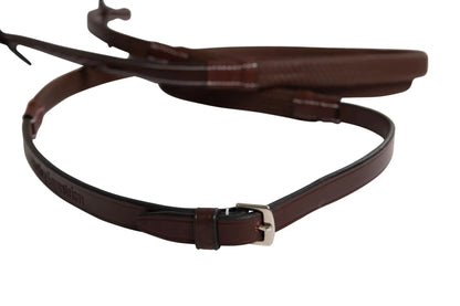 Brown leather belt with a silver buckle on a white background
