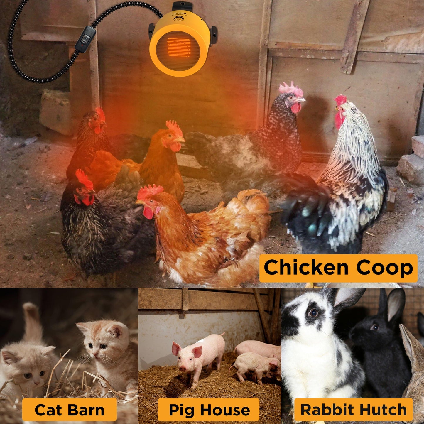 Collage of animals in different enclosures with labels: Chicken Coop, Cat Barn, Pig House, Rabbit Hutch.