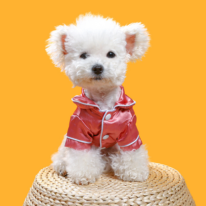 Small white dog wearing a pink outfit on an orange background