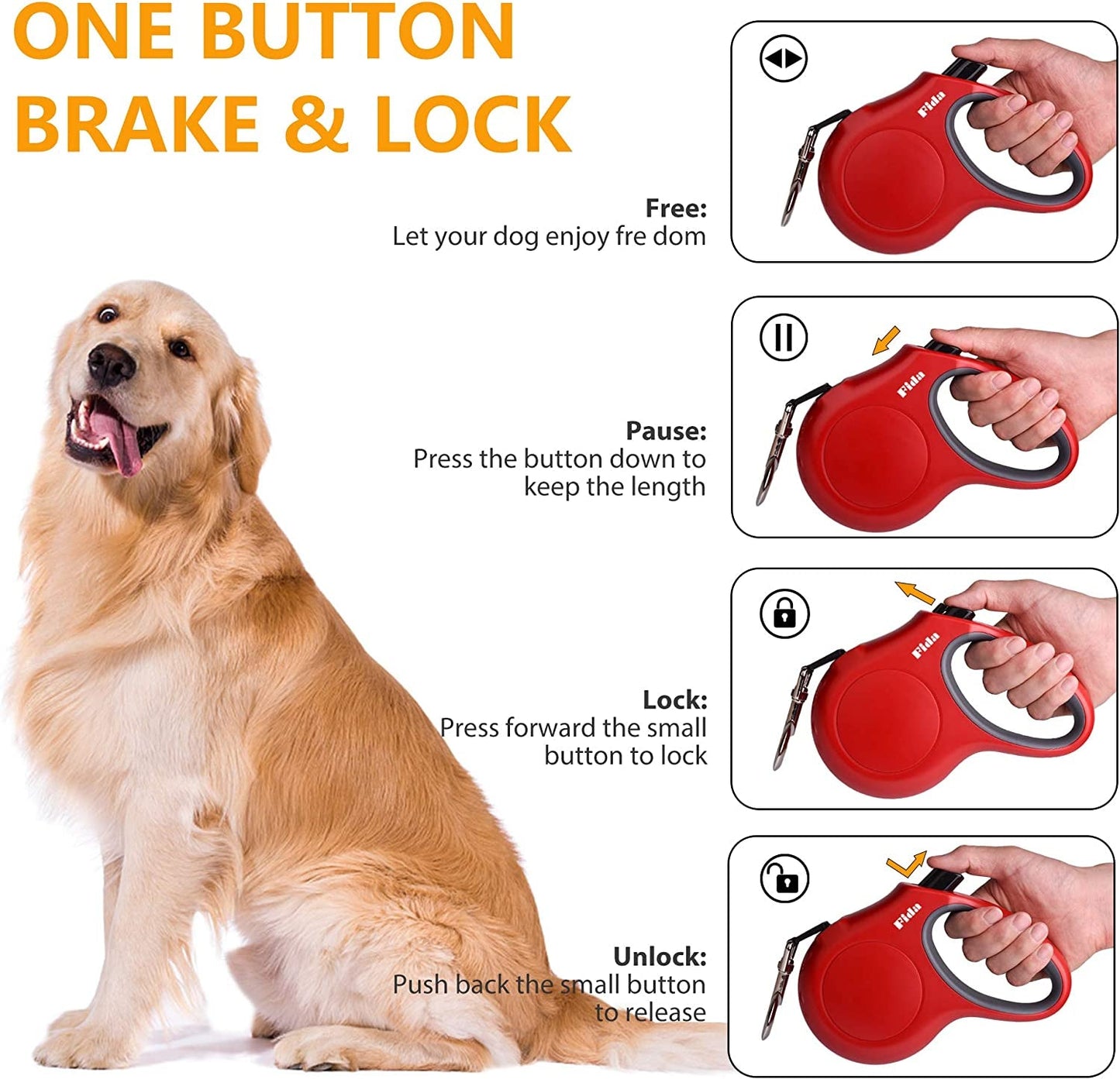 Red retractable dog leash with instructions and a golden retriever.