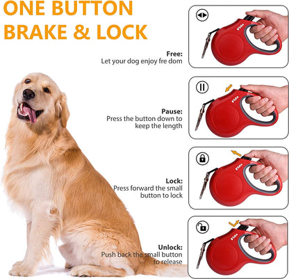 Red retractable dog leash with instructions and a golden retriever.