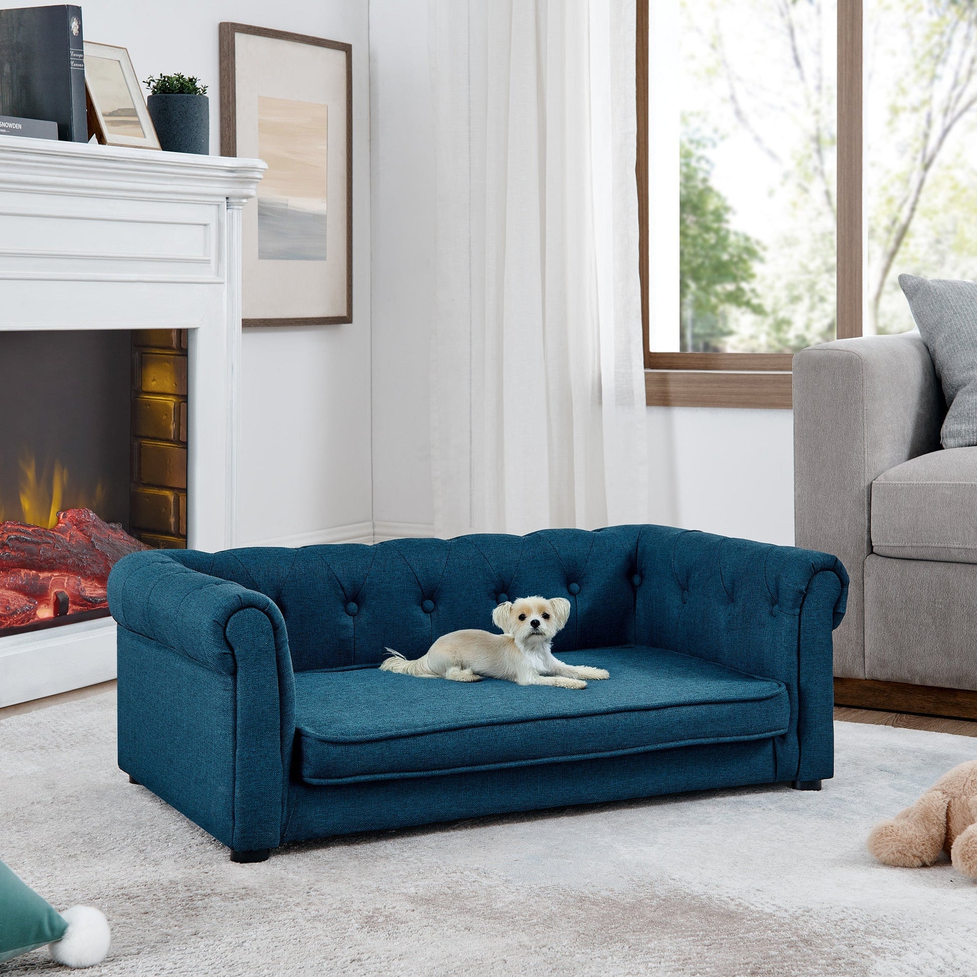 Blue tufted sofa with a dog sitting on it in a living room setting.