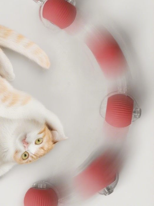 Cat lying on a white surface with red and gray objects around