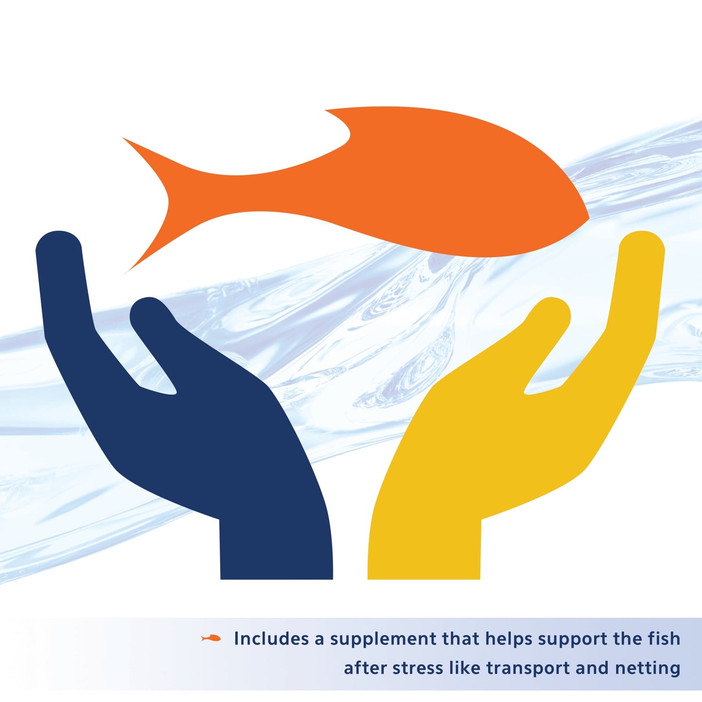 Two hands, one blue and one yellow, holding an orange fish against a light blue background with wavy lines.