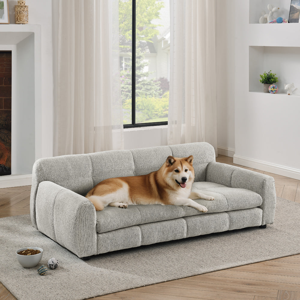 Dog lying on a gray sofa in a modern living room with large windows.