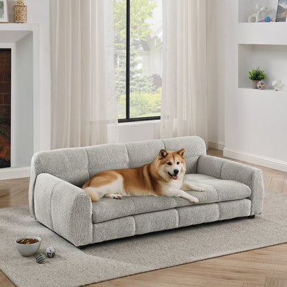 Dog lying on a gray sofa in a modern living room with large windows.