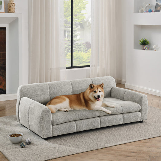 Dog lying on a gray sofa in a modern living room with large windows.