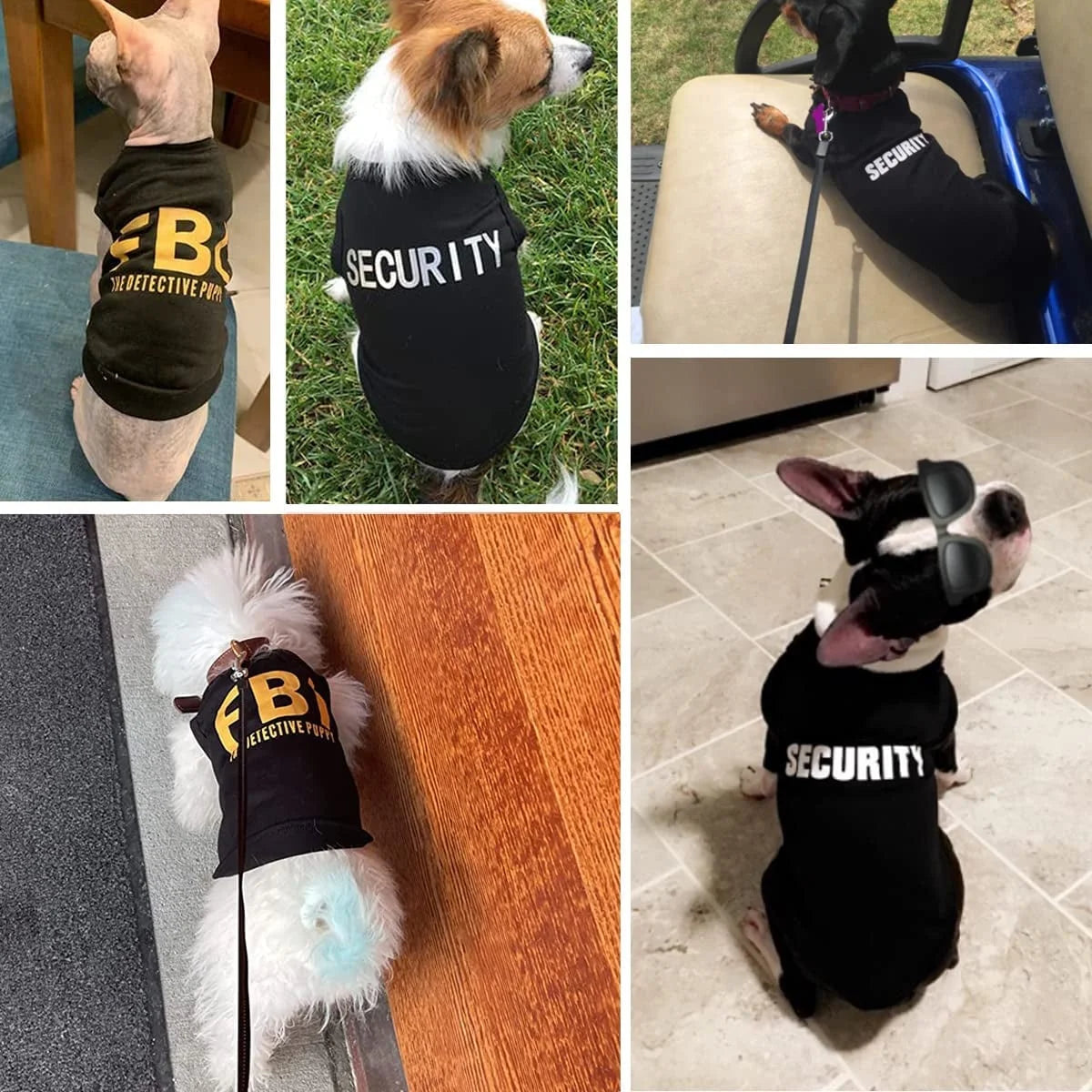 Collage of dogs wearing 'SECURITY' and 'FBI' shirts in various settings.