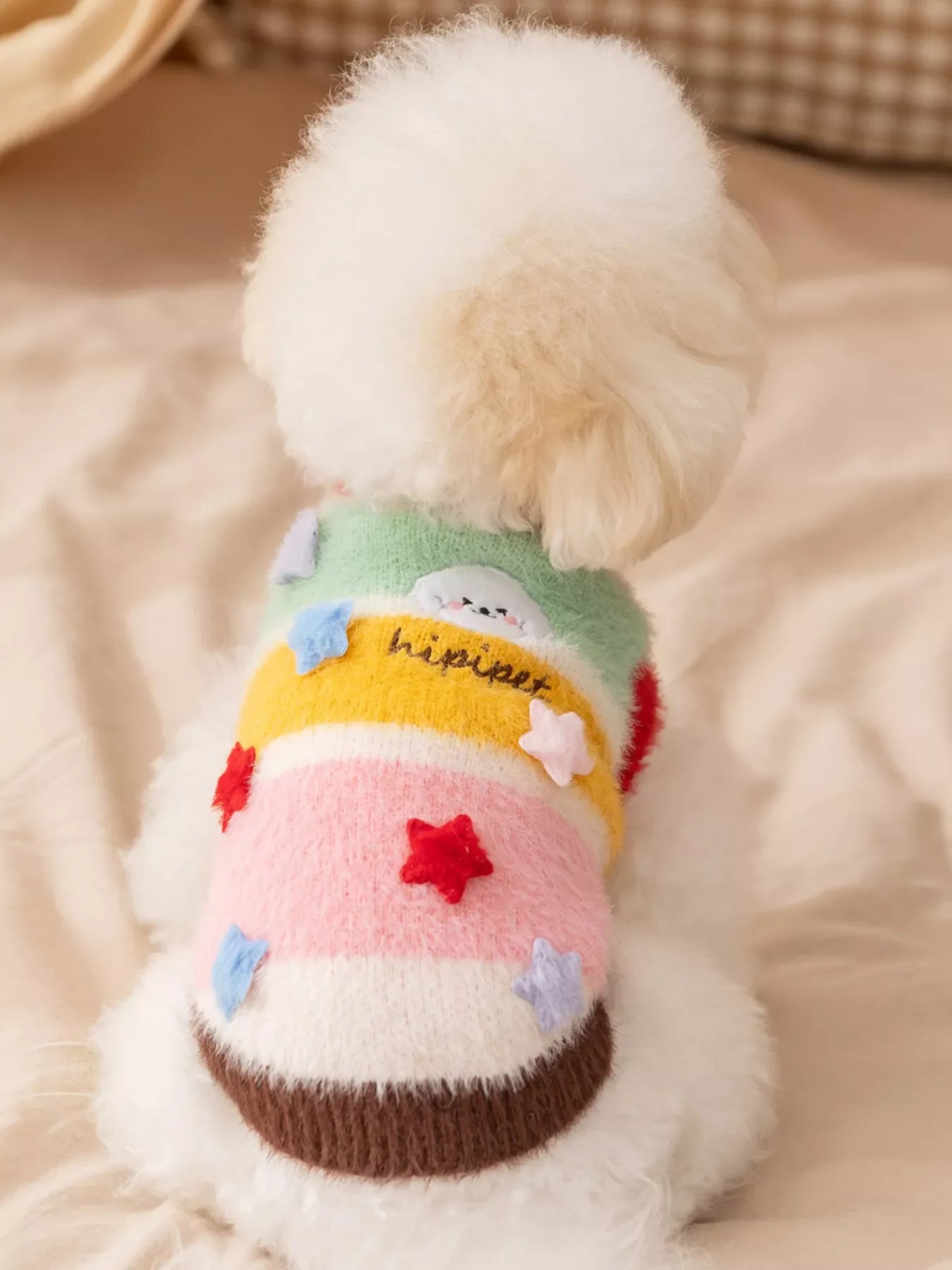 Dog wearing a colorful sweater with cartoon designs on a soft surface