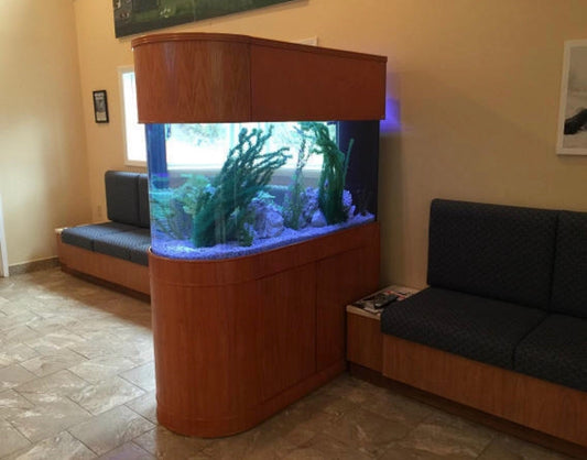 Large fish tank with wooden frame in a room with a sofa and pictures on the wall.
