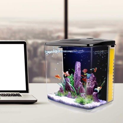 Small aquarium with fish on a desk next to a laptop