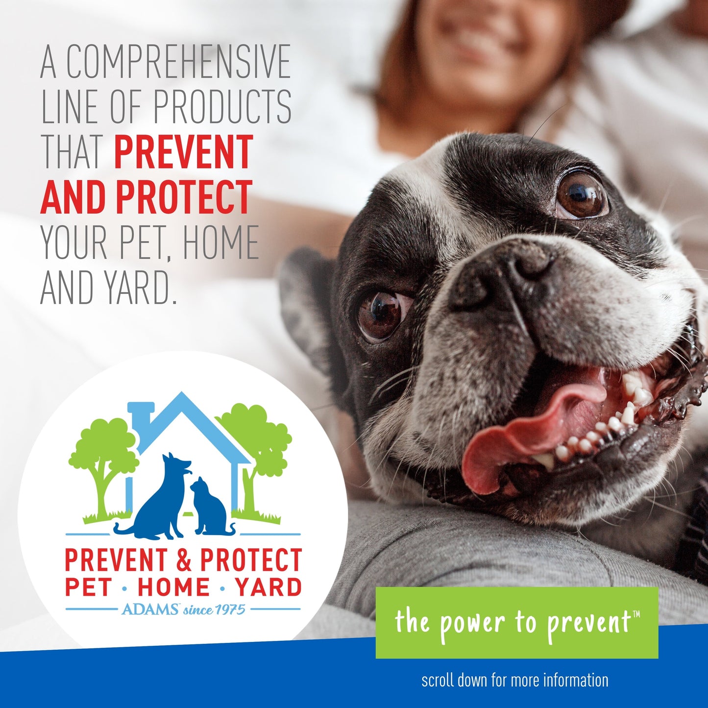 Dog with a person, featuring text about pet, home, and yard protection products.
