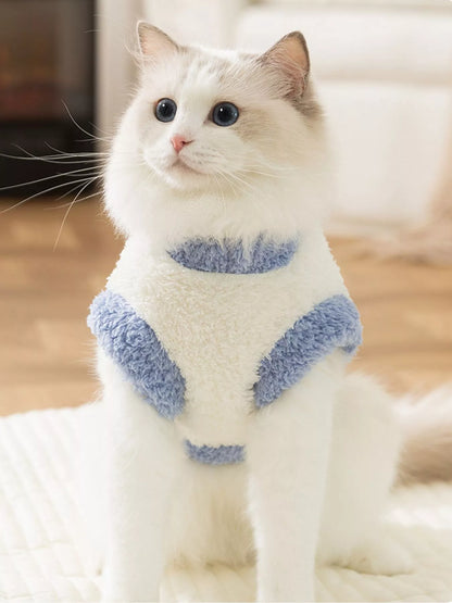 White cat wearing a blue sweater with fluffy texture