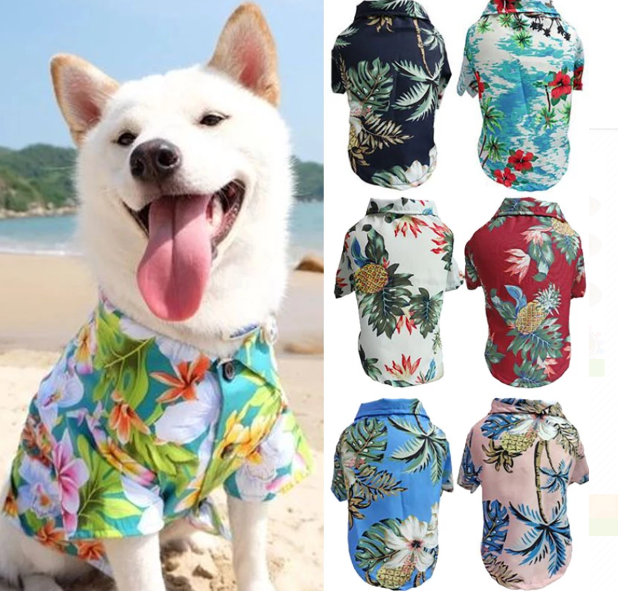 Dog wearing a colorful floral shirt with beach background and additional shirts displayed on the right.