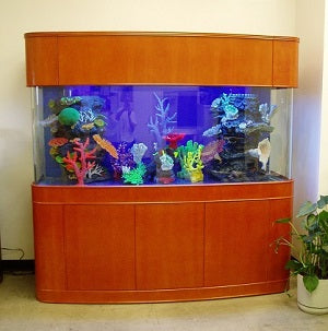 MONSTER TANK! 380 Gallon Seamless Glass Bowfront Reef-Ready Aquarium