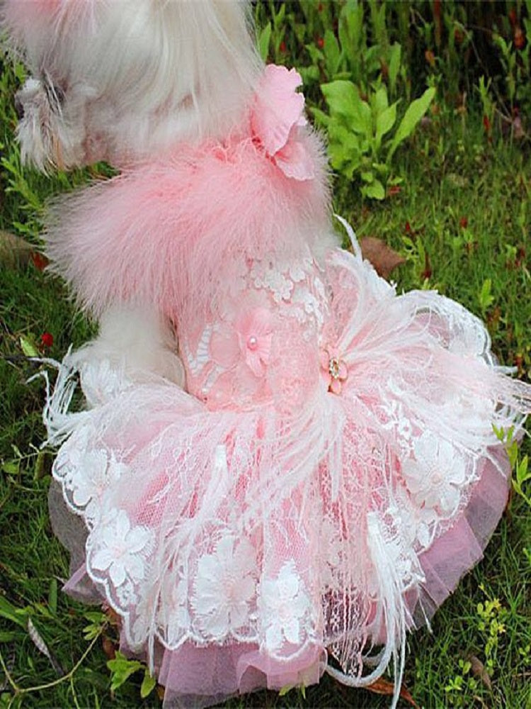 Dog wearing a pink lace dress with feathers on grass
