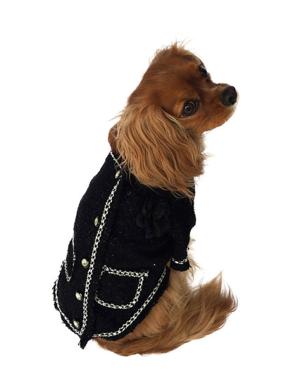 Dog wearing a black coat with chain details on a white background