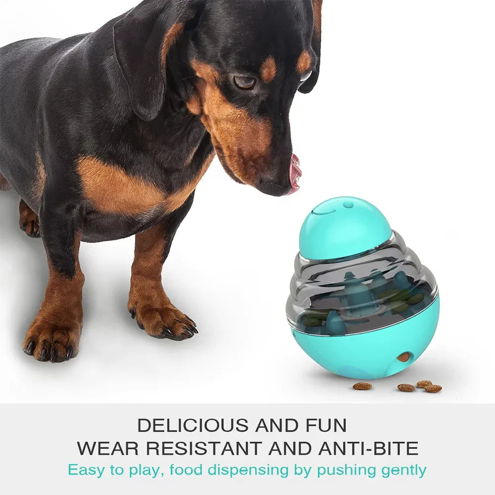 Dog interacting with a blue and gray food-dispensing toy on a white background