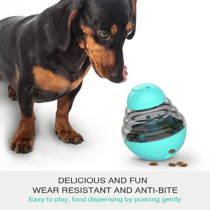 Dog interacting with a blue and gray food-dispensing toy on a white background