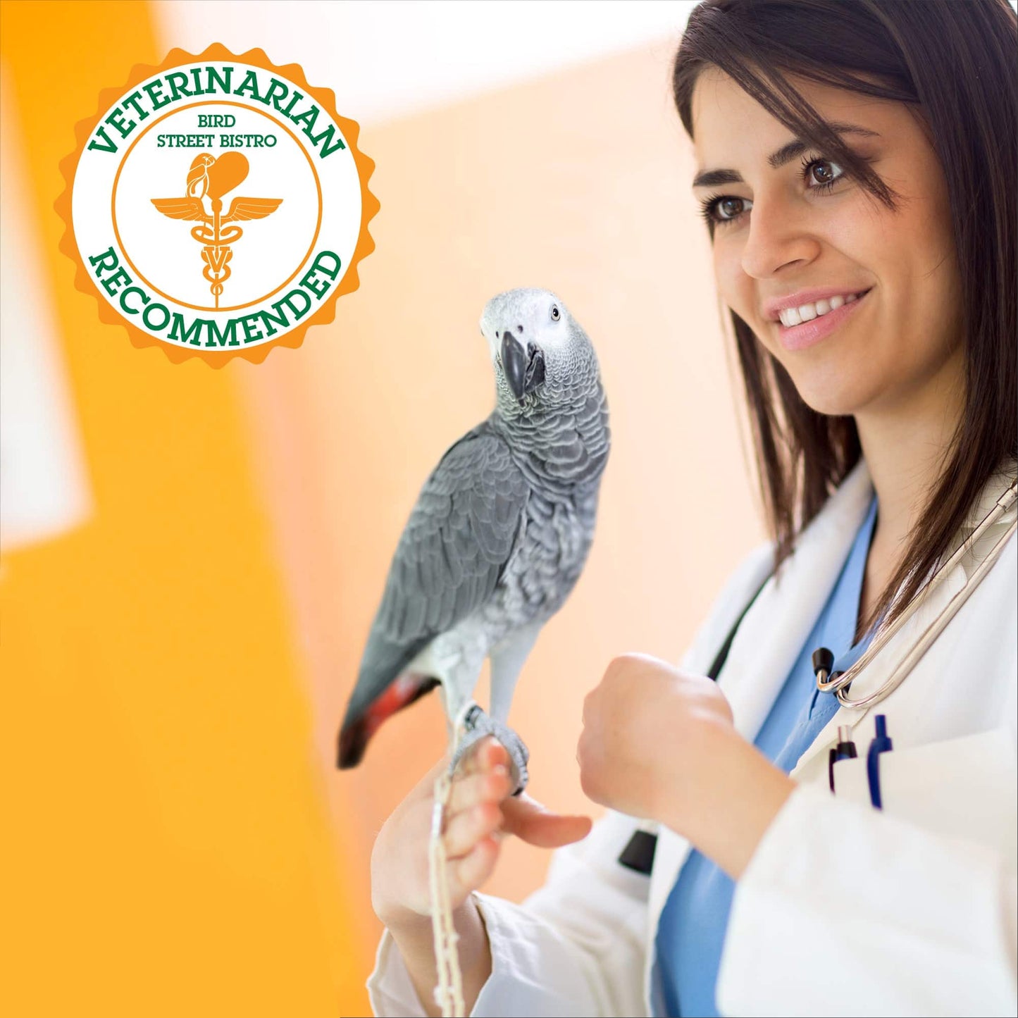 Woman in a white coat holding a gray parrot with 'Veterinarian Recommended' logo in the corner.
