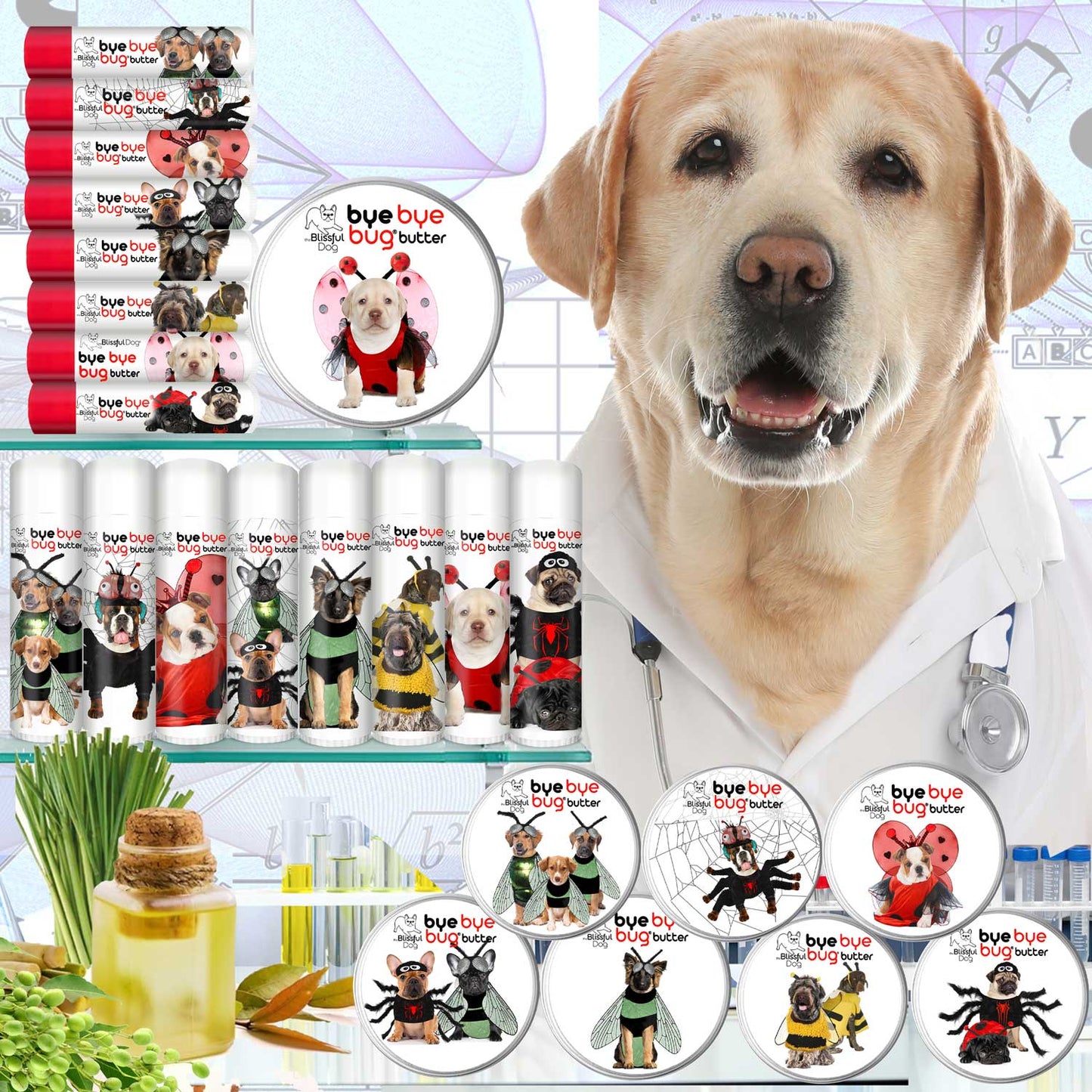 Dog in a lab coat with various dog products and ingredients on a white background
